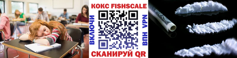 цена   Печора  Cocaine FishScale 