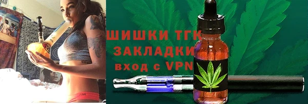 твердый Богданович