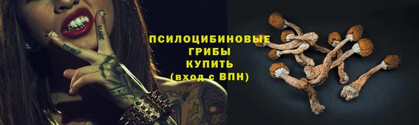 меф Нефтегорск